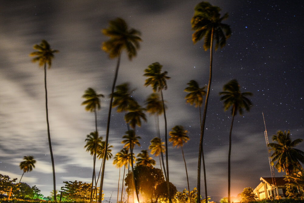 NIGHT SKY