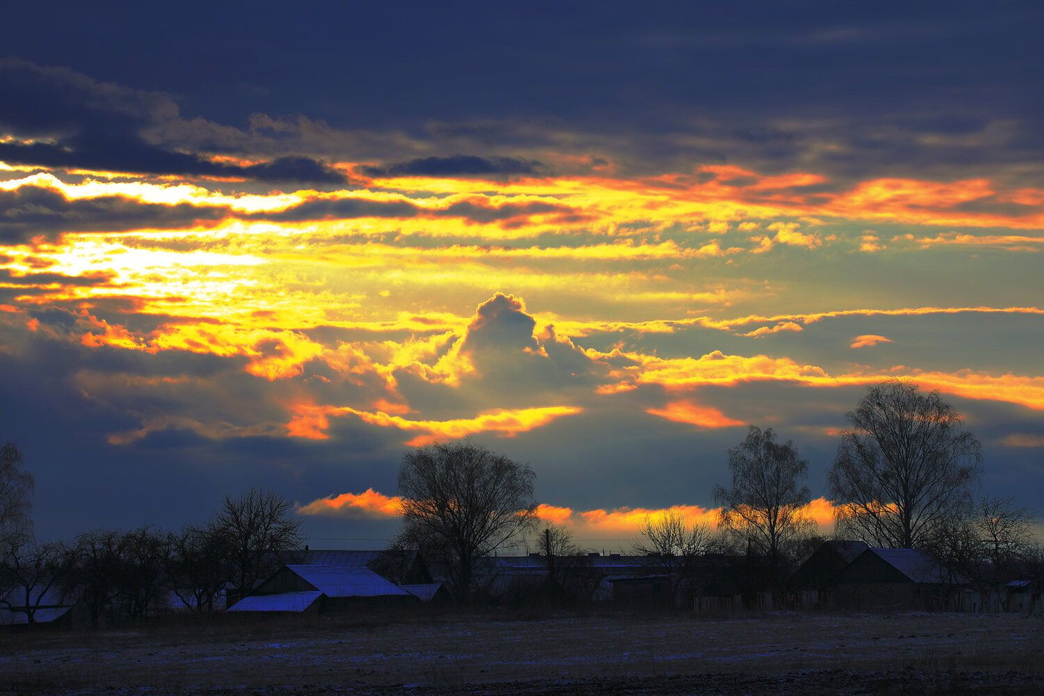 Photo #13785388