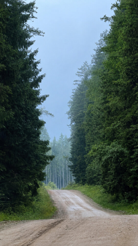 Photograph by Nataliia Pentjusa