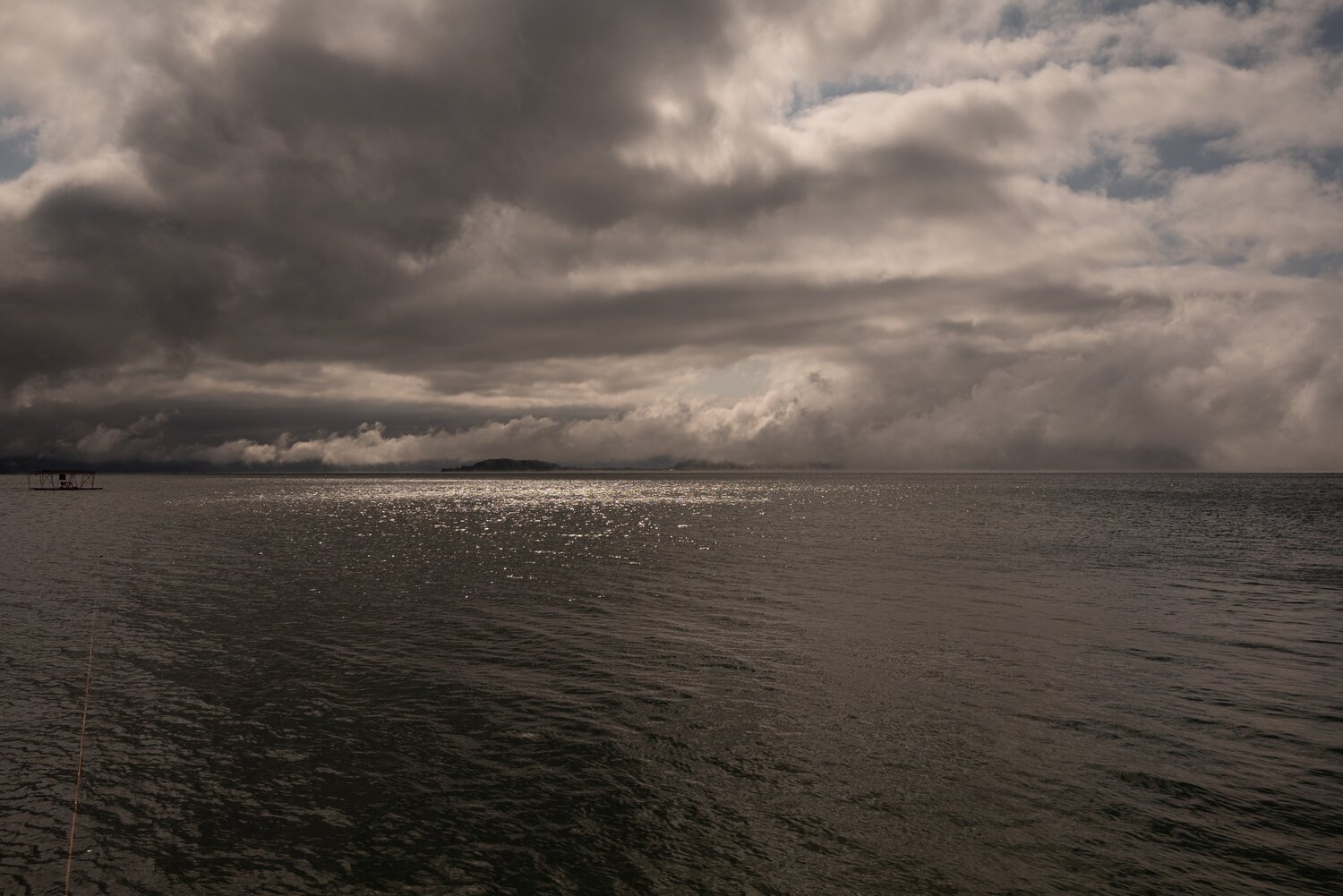 Photo #13785468
