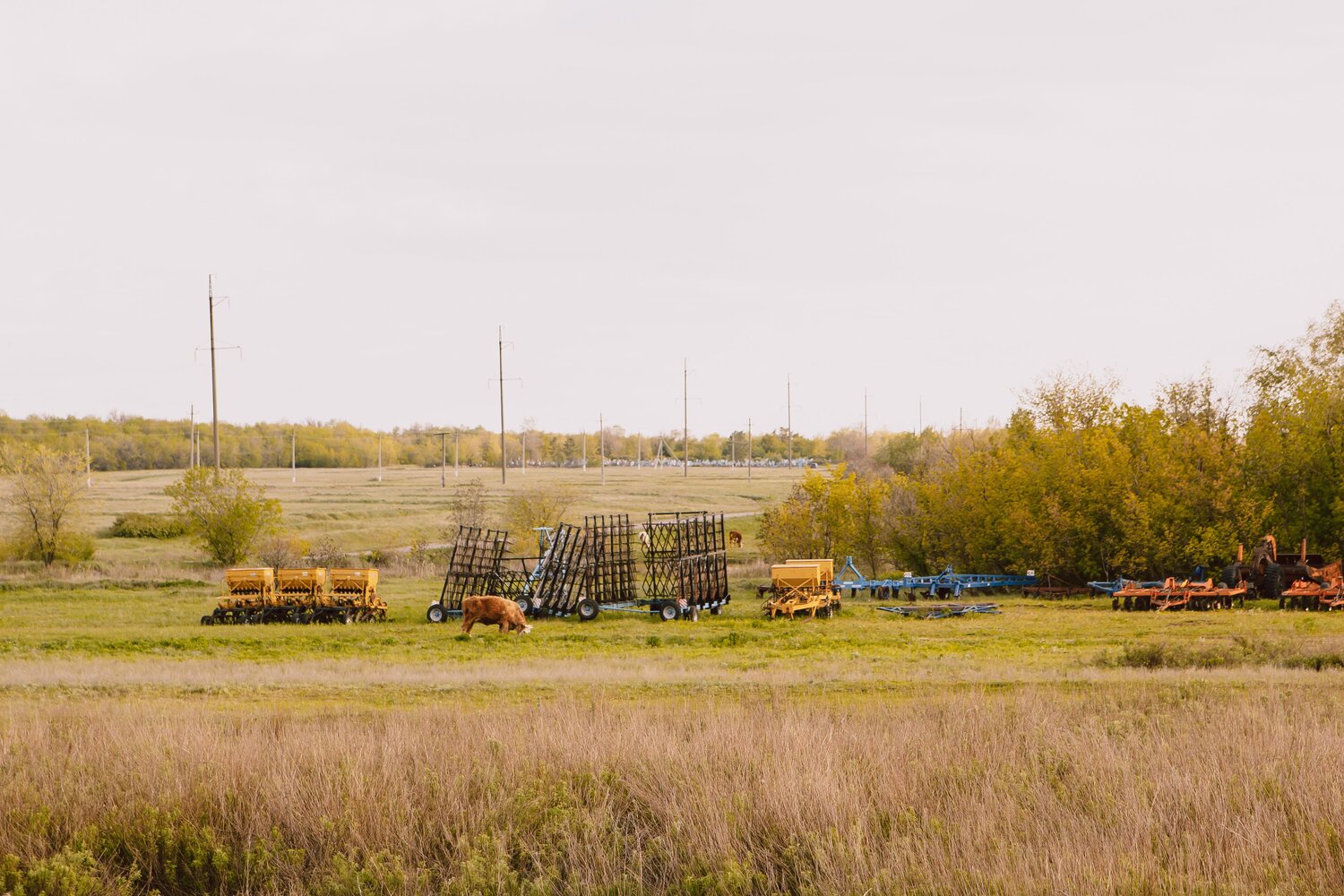 Photo #13785478