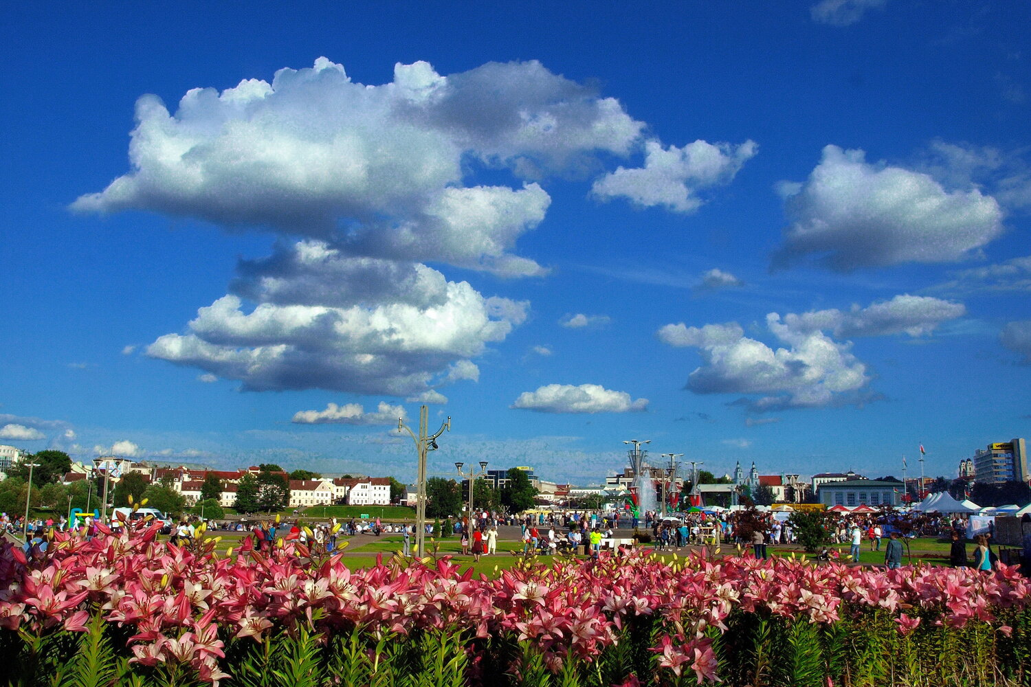 Photo #13785487