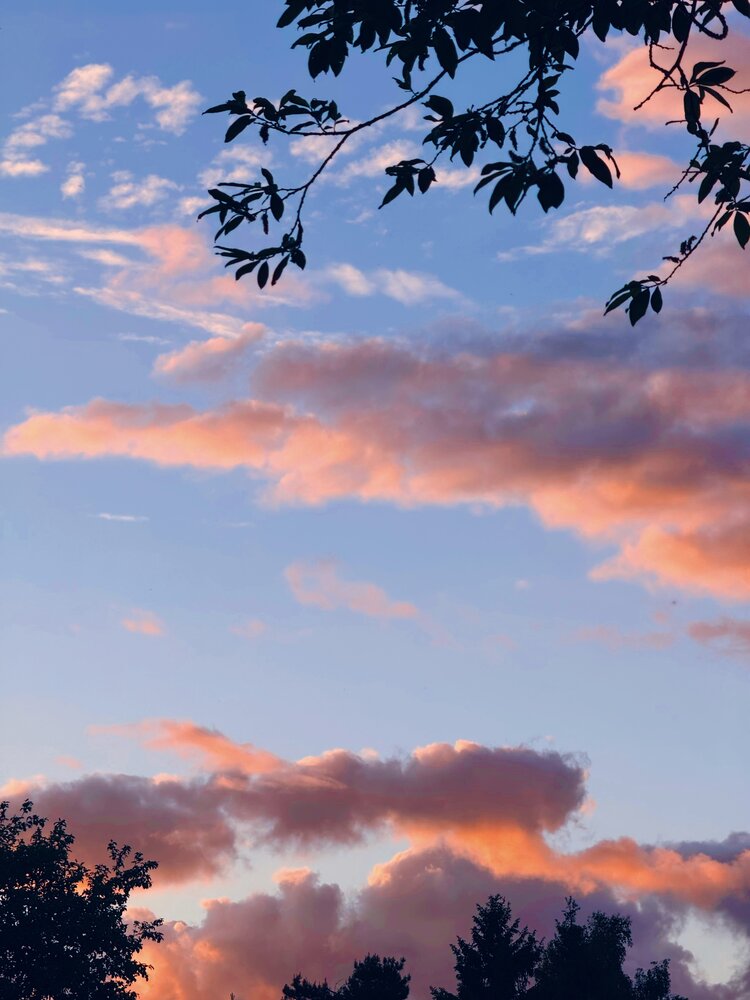 Photograph by Шувалова Мария