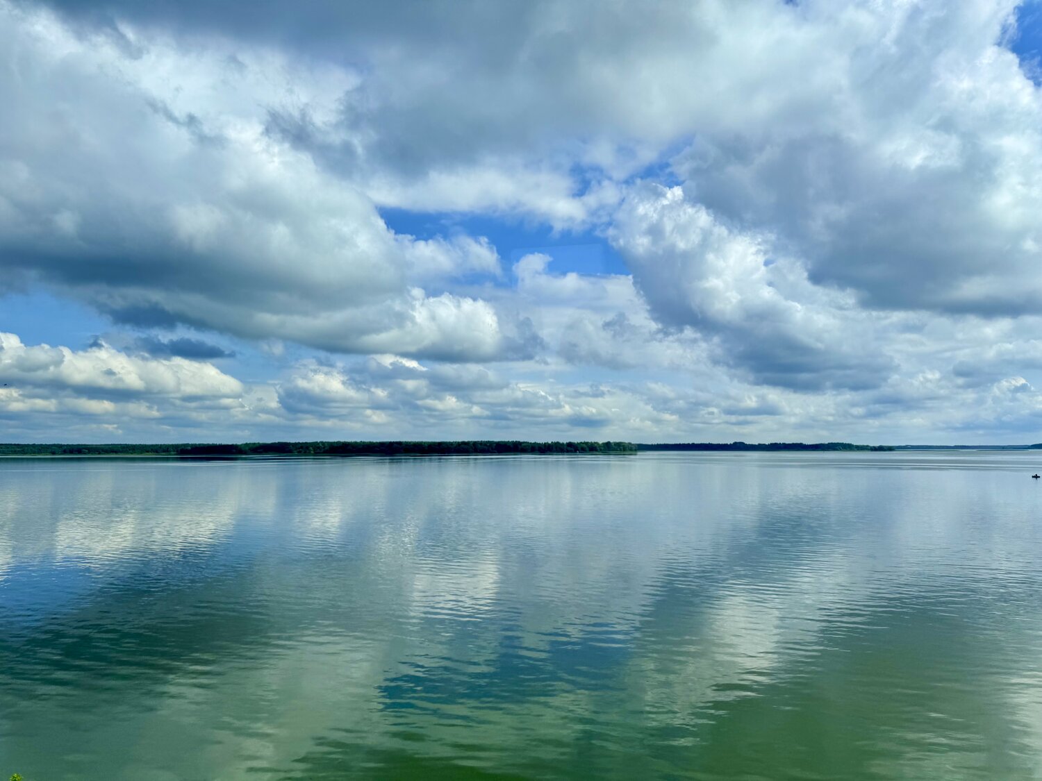 Photo #13785499