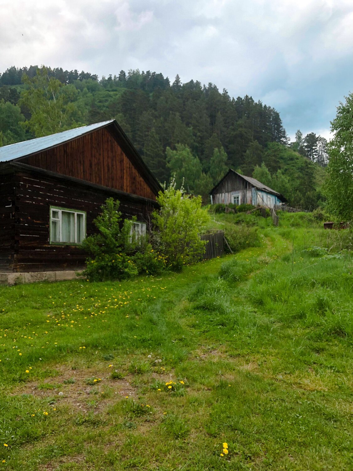 Photo #13785534