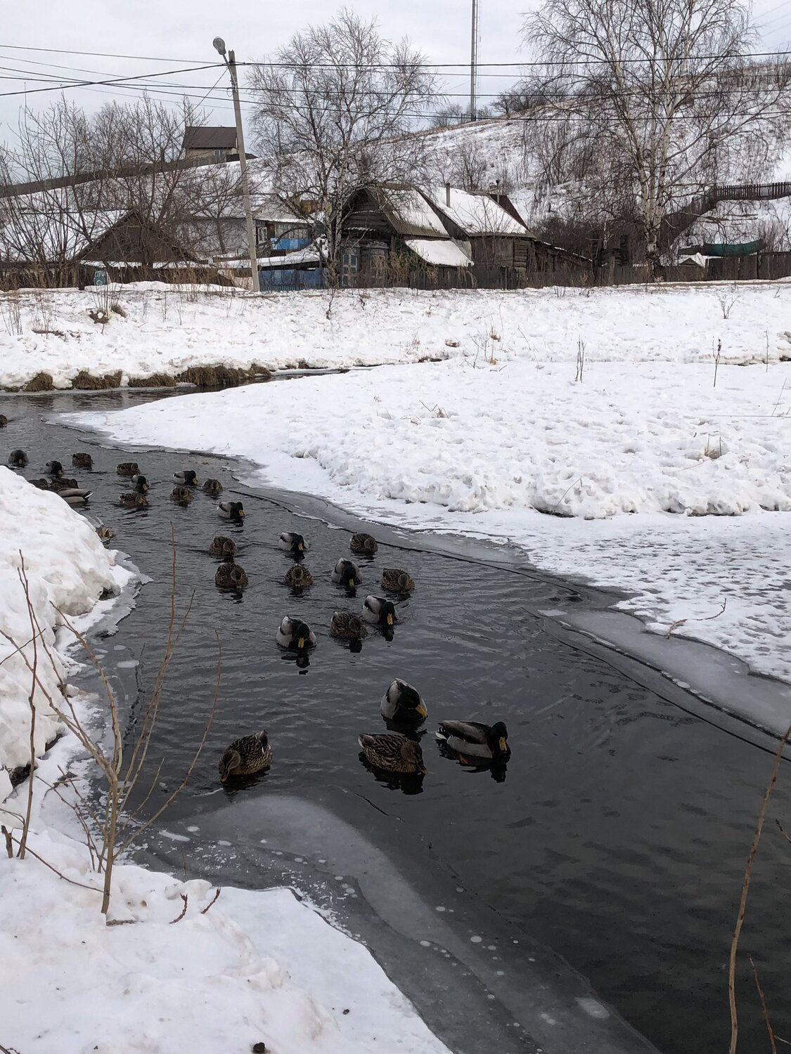 Photo #13785537