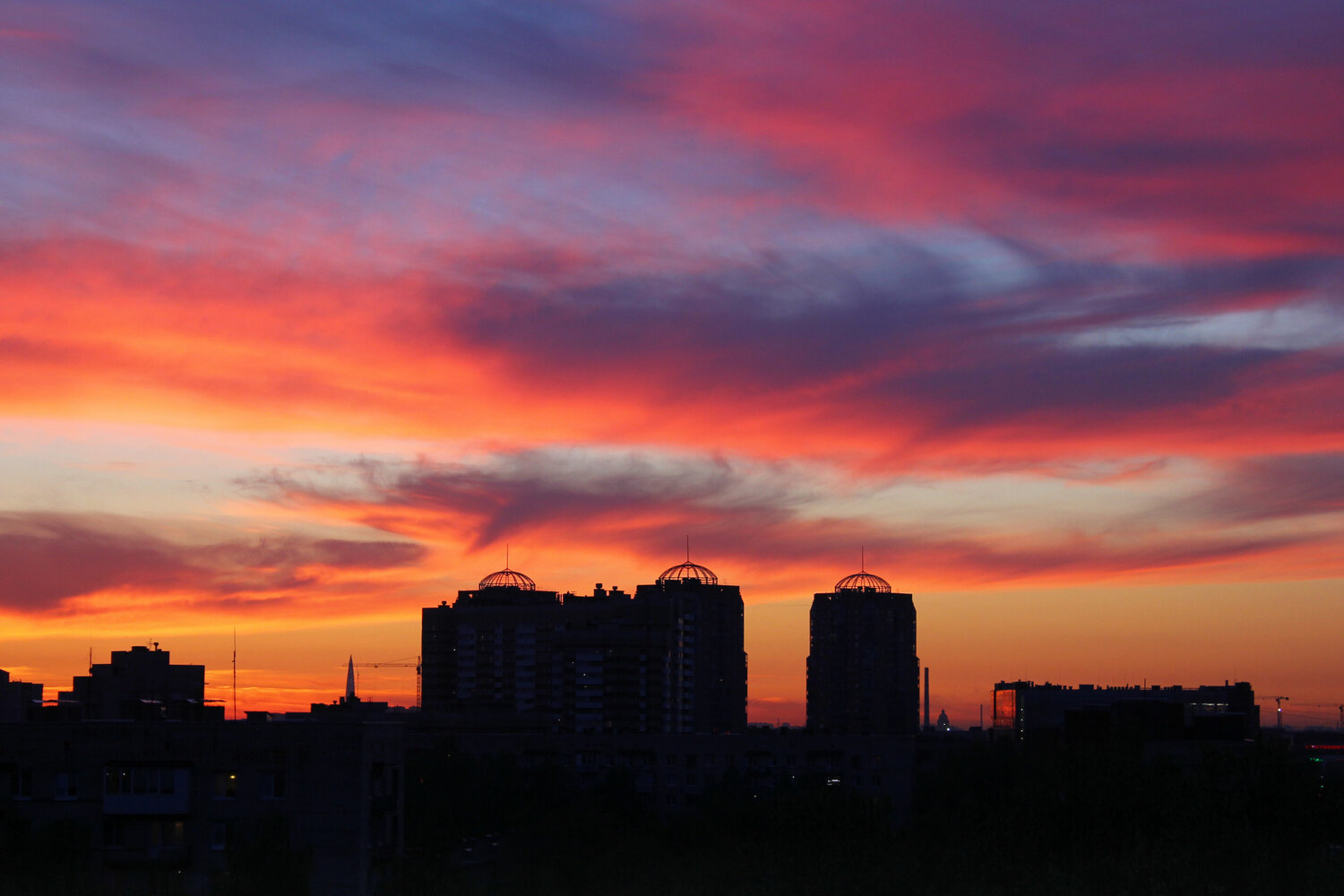 Photo #13785543