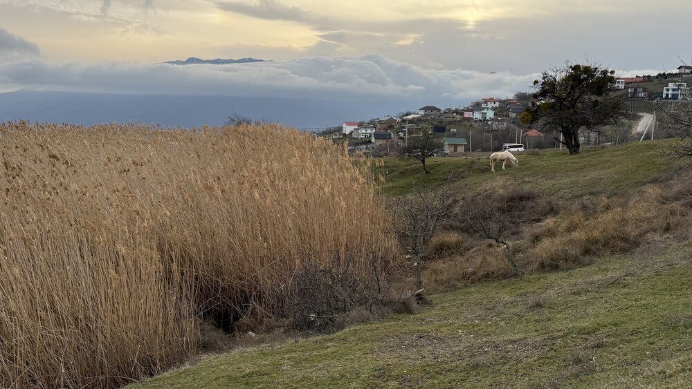 Photograph by Элеонора Бульс