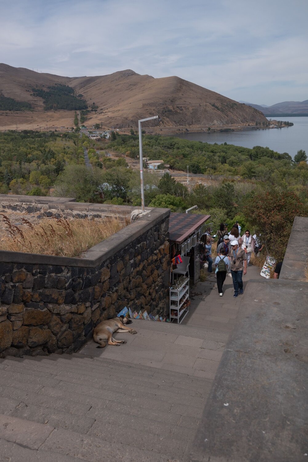 Photo #13785572