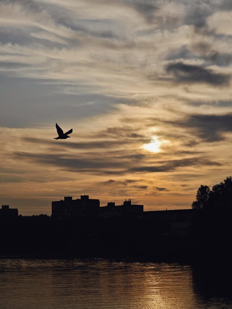 Photograph by Наташа Данилова