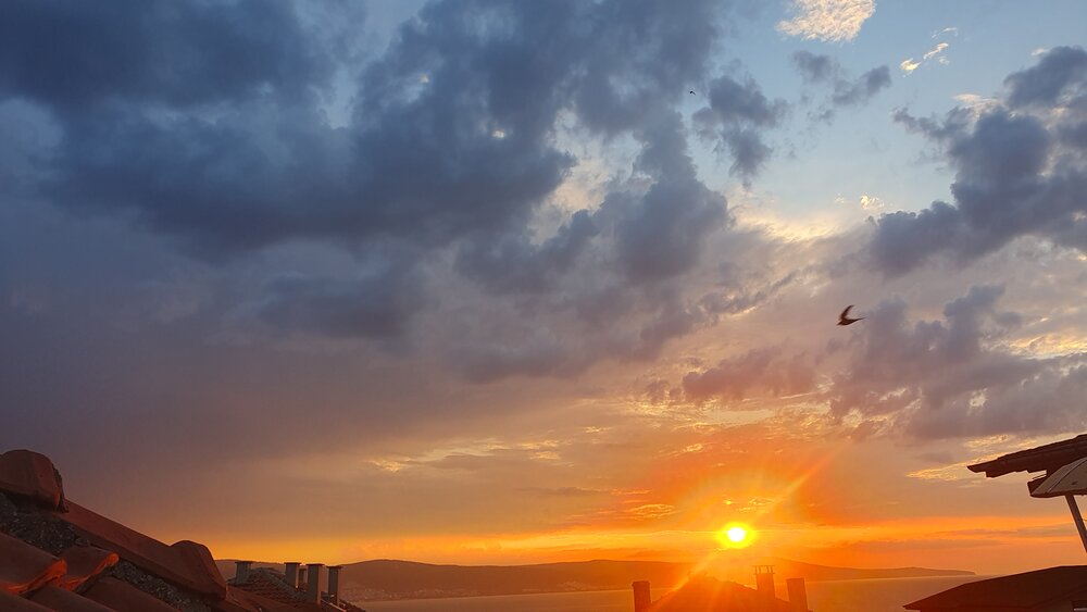 Photograph by Jasmina Zafer
