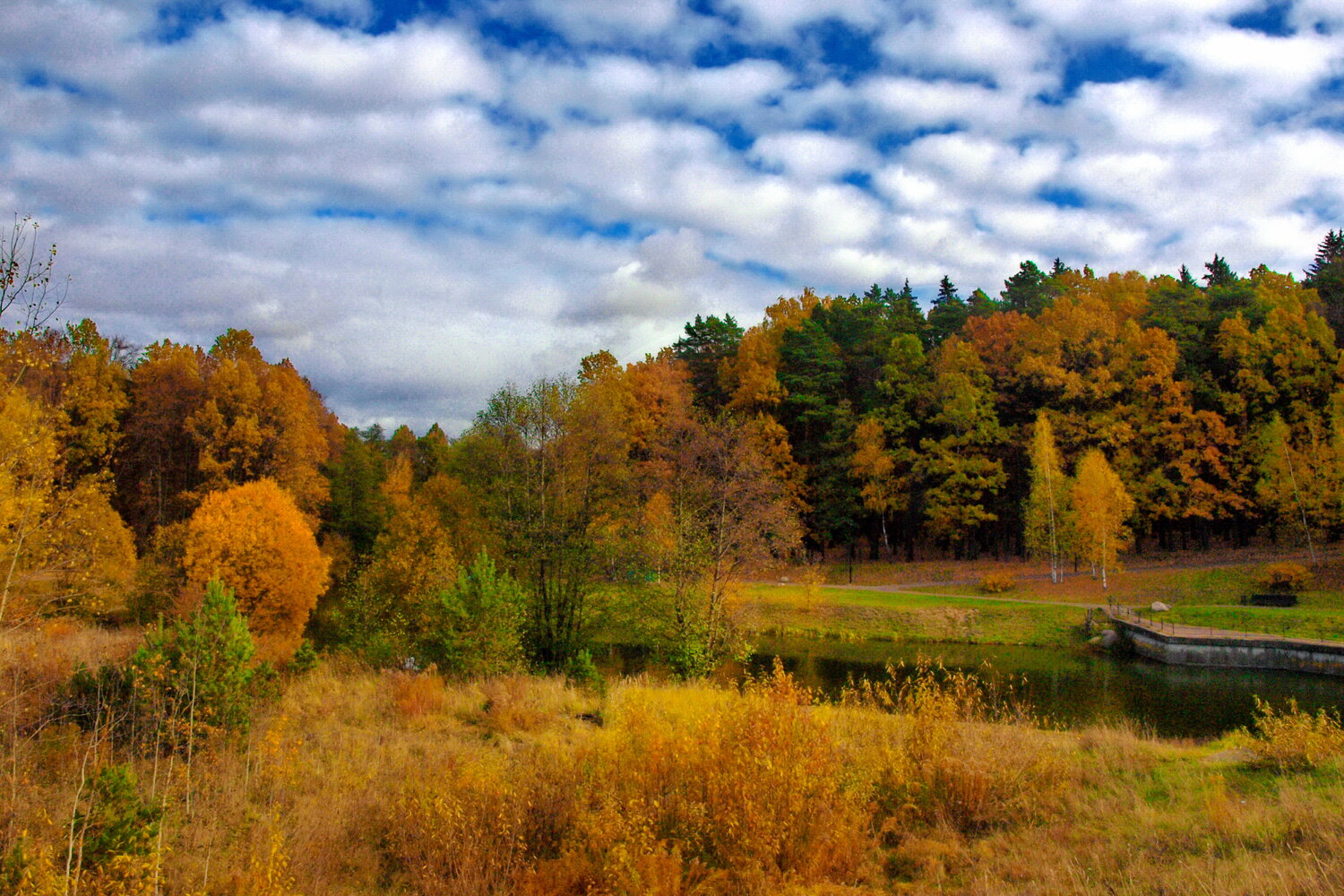 Photo #13785645