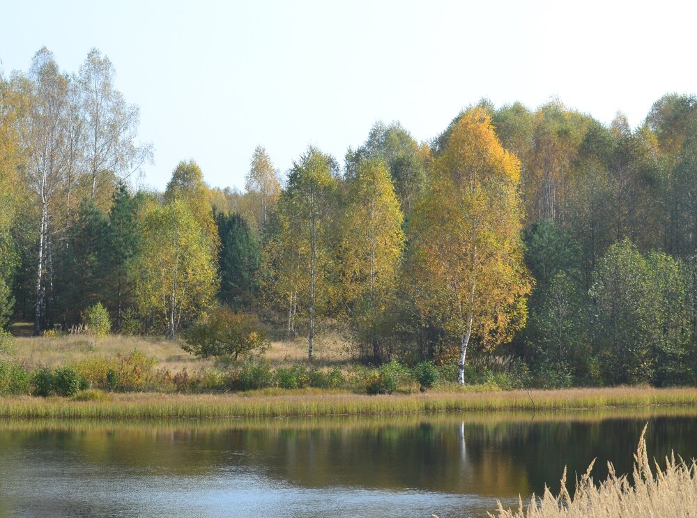 Photograph by Наталья Сафронова