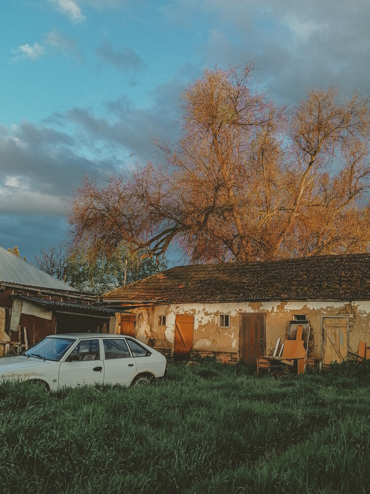 Photograph by Наталия Соболева