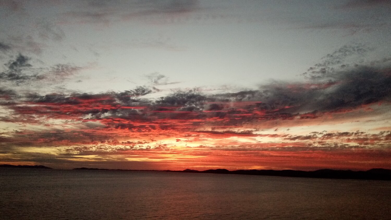 Photo #13785743