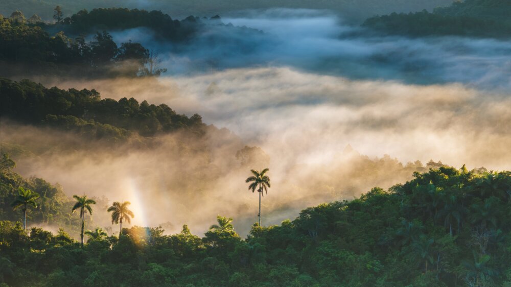 Photograph by Yainyt Alcazar Delgado