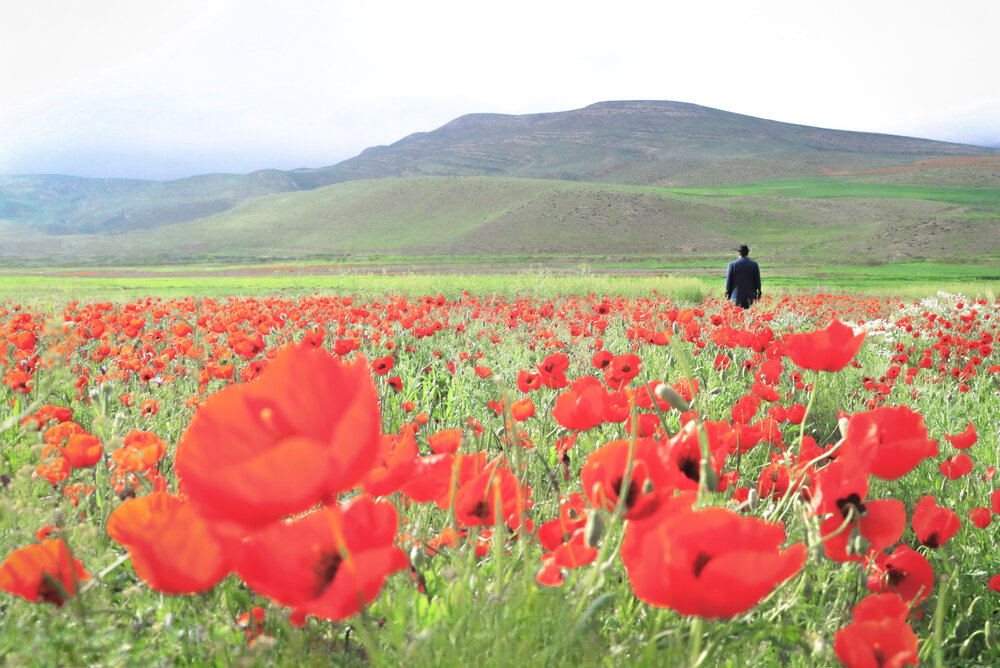 Photograph by Arezoo Arianpour
