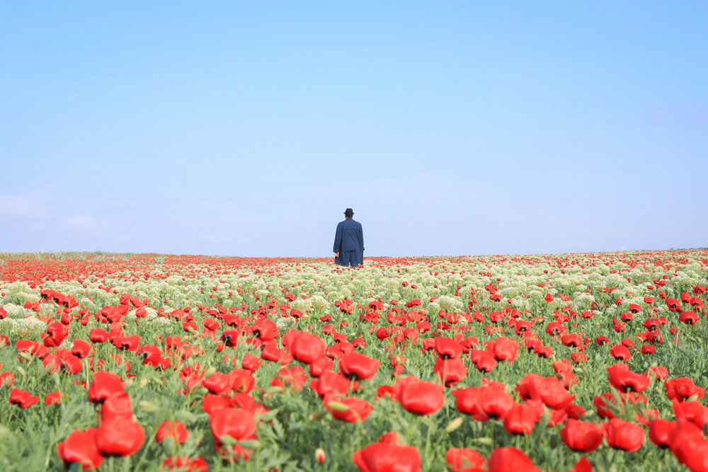 Photograph by Arezoo Arianpour