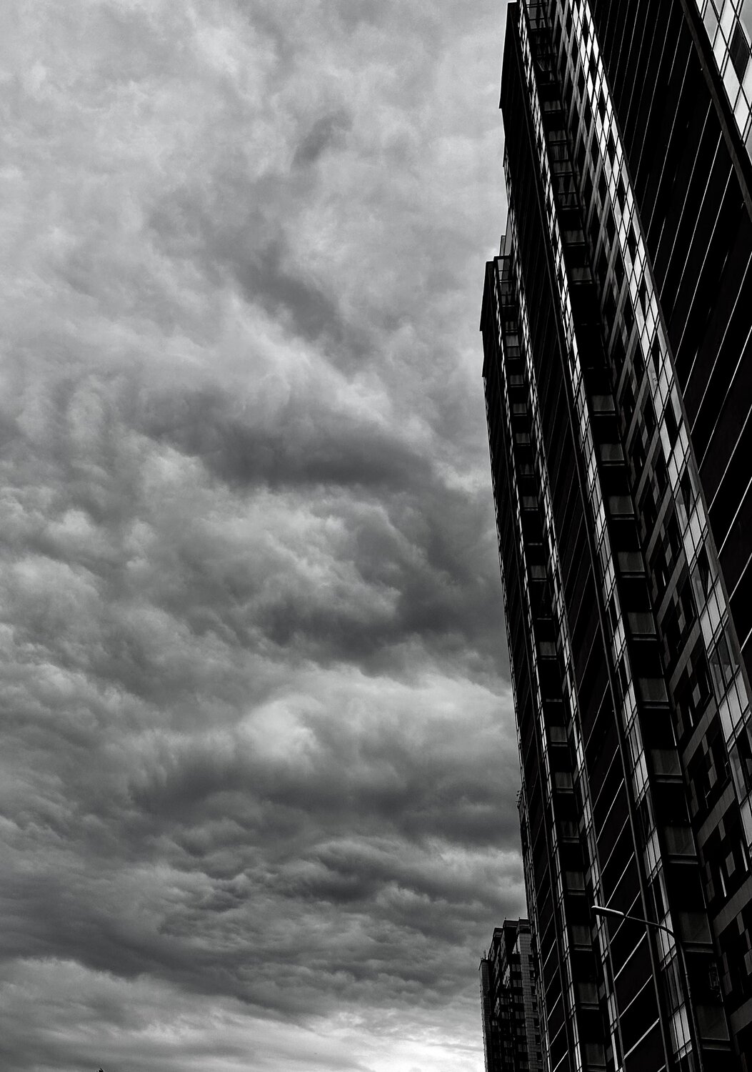 Photo #13785860