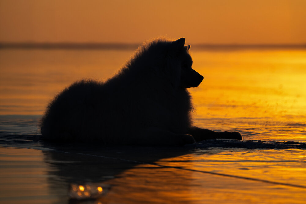 Photograph by Наталия Попова