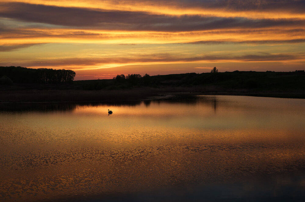 Photograph by Наталия Брянцева
