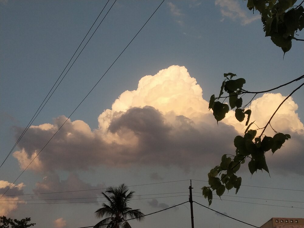 The Golden Linings