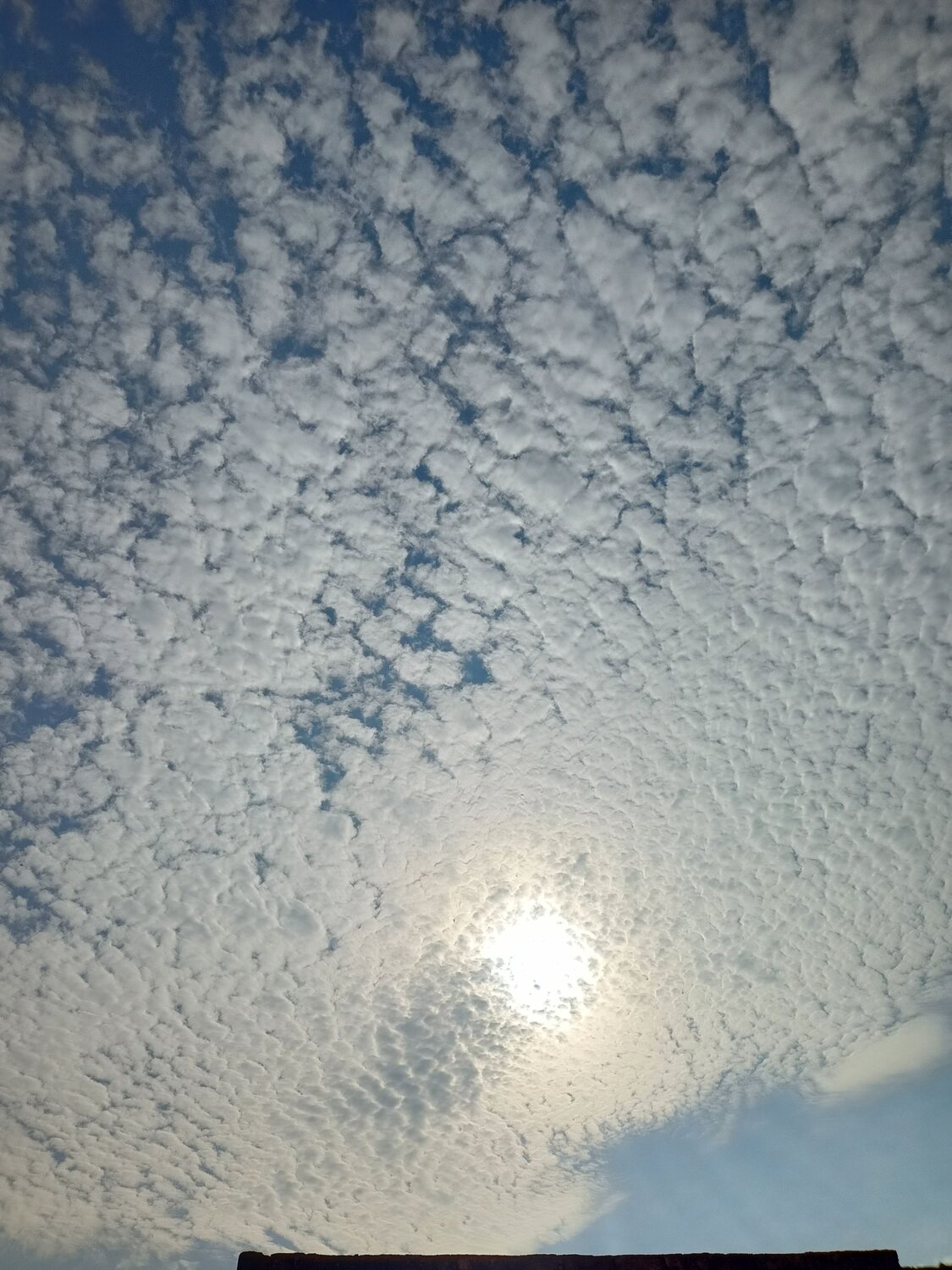 The Silver Linings