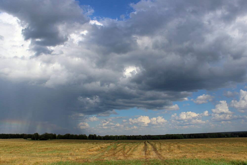 Photograph by Галина Мазур