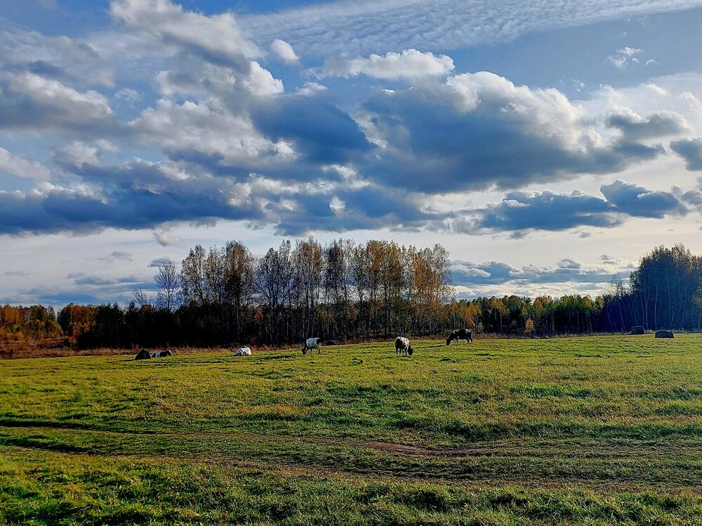 Photograph by Галина Мазур