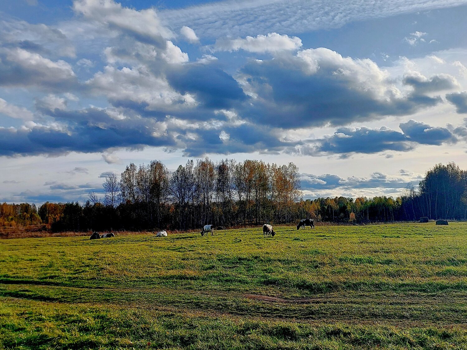 Photo #13785945