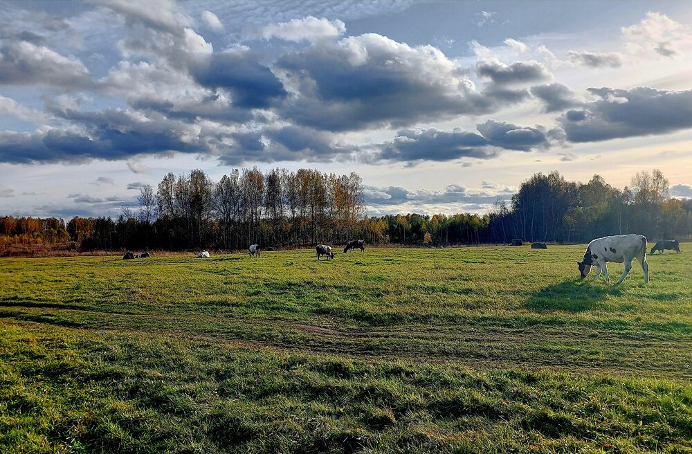 Photograph by Галина Мазур