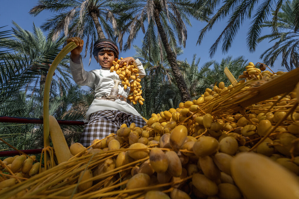 Photograph by Majid Al Amri