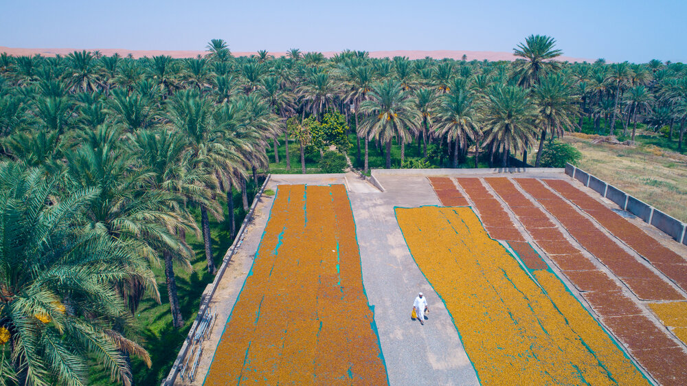 Photograph by Majid Al Amri