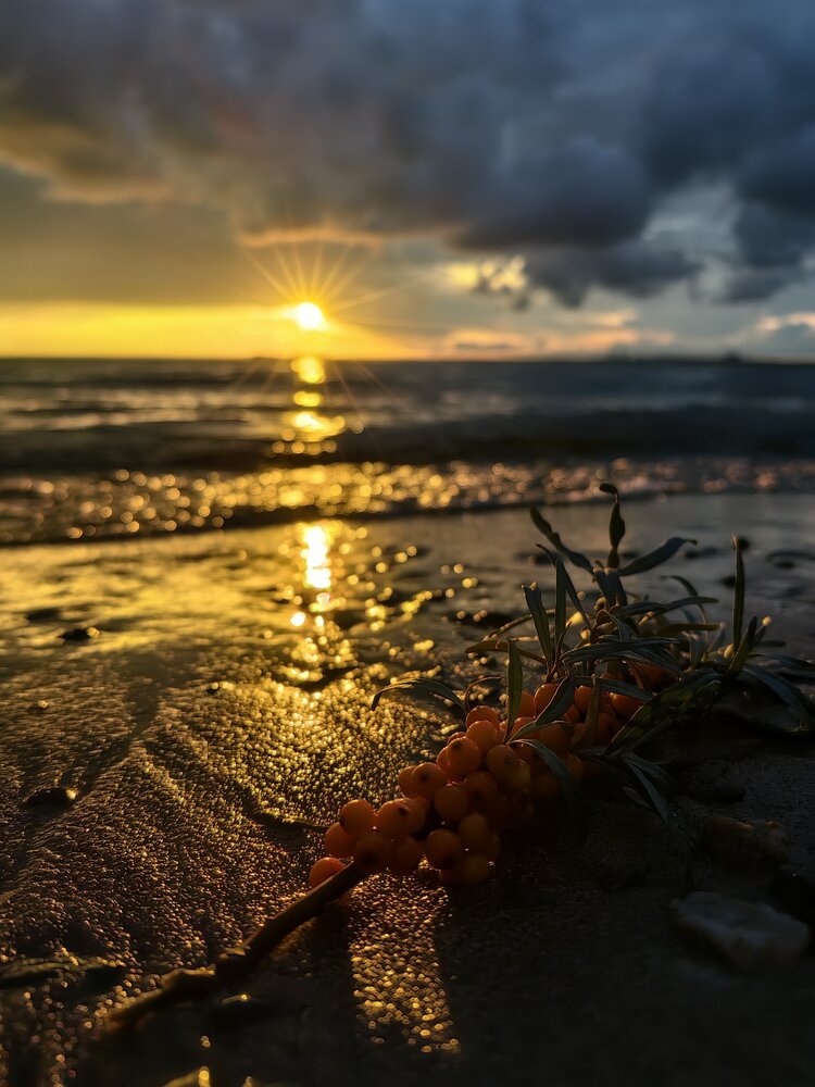 Photograph by Алеся Кудина