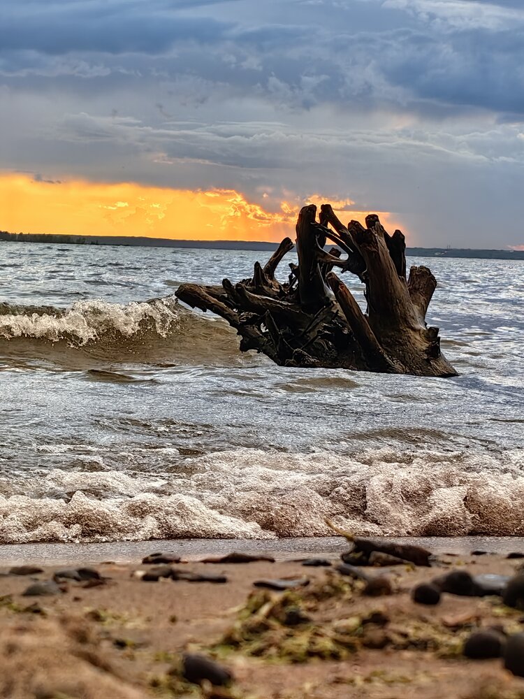Photograph by Алеся Кудина