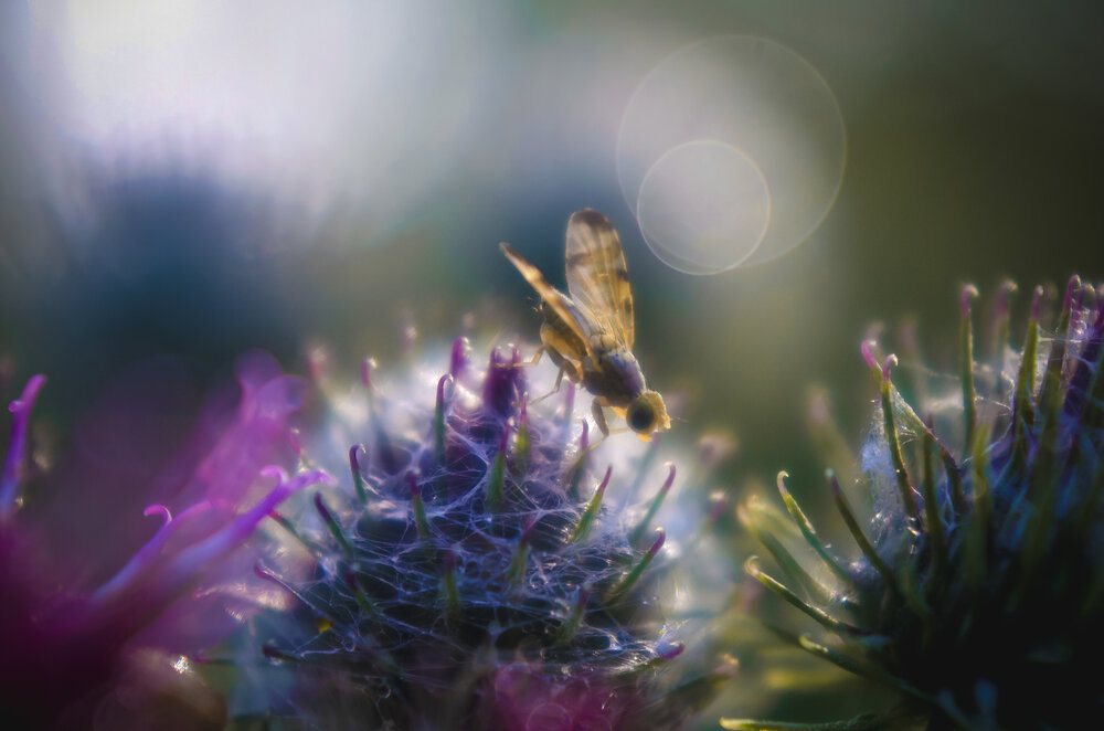 Photograph by Любовь Бусова