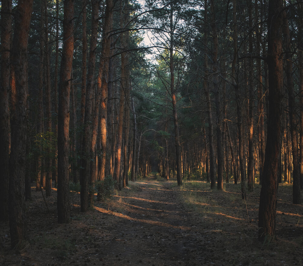 Photograph by Олег Белан