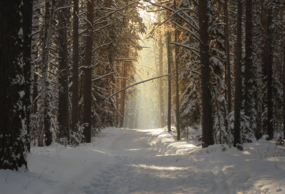Photograph by Андрей Жильцов