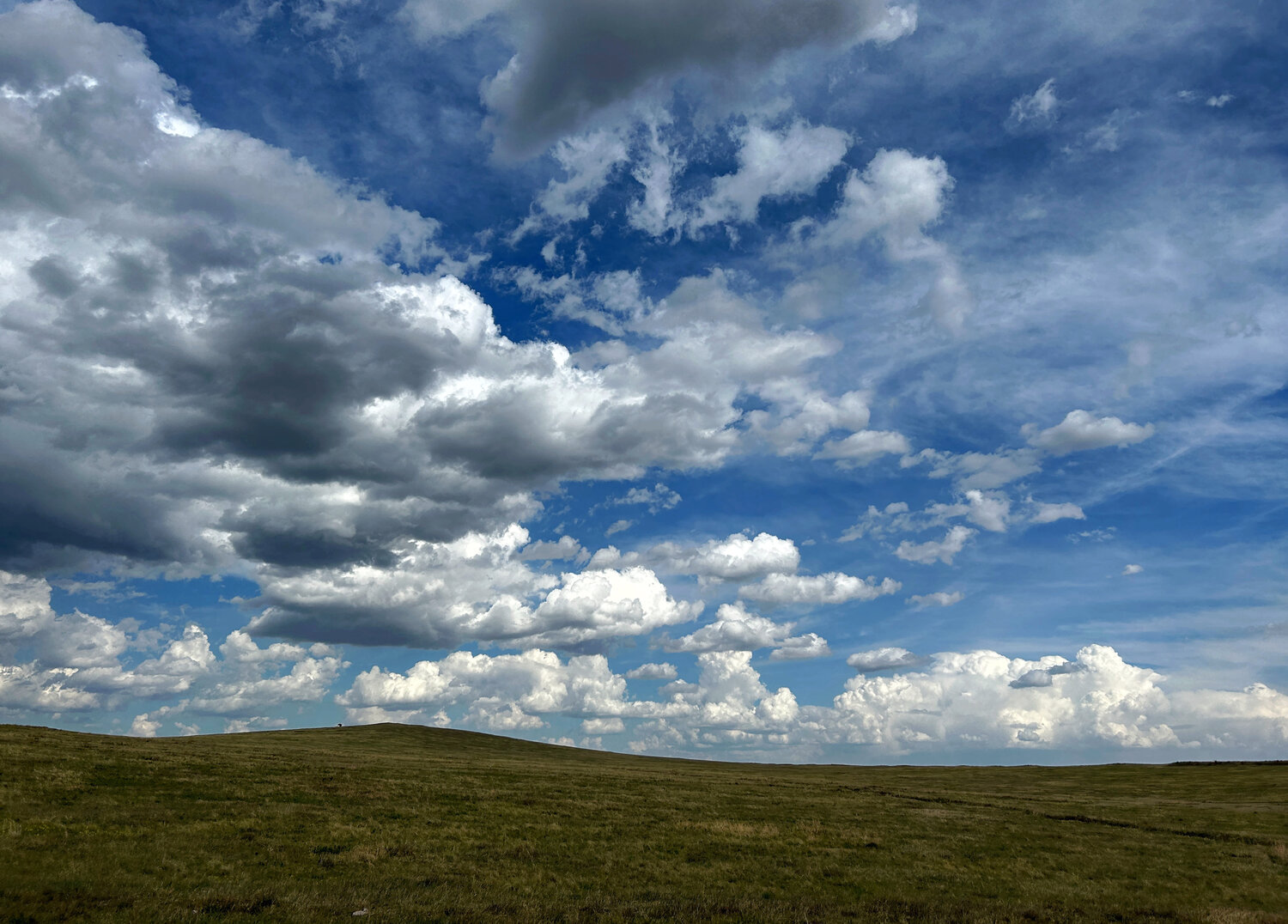 Photo #13786140