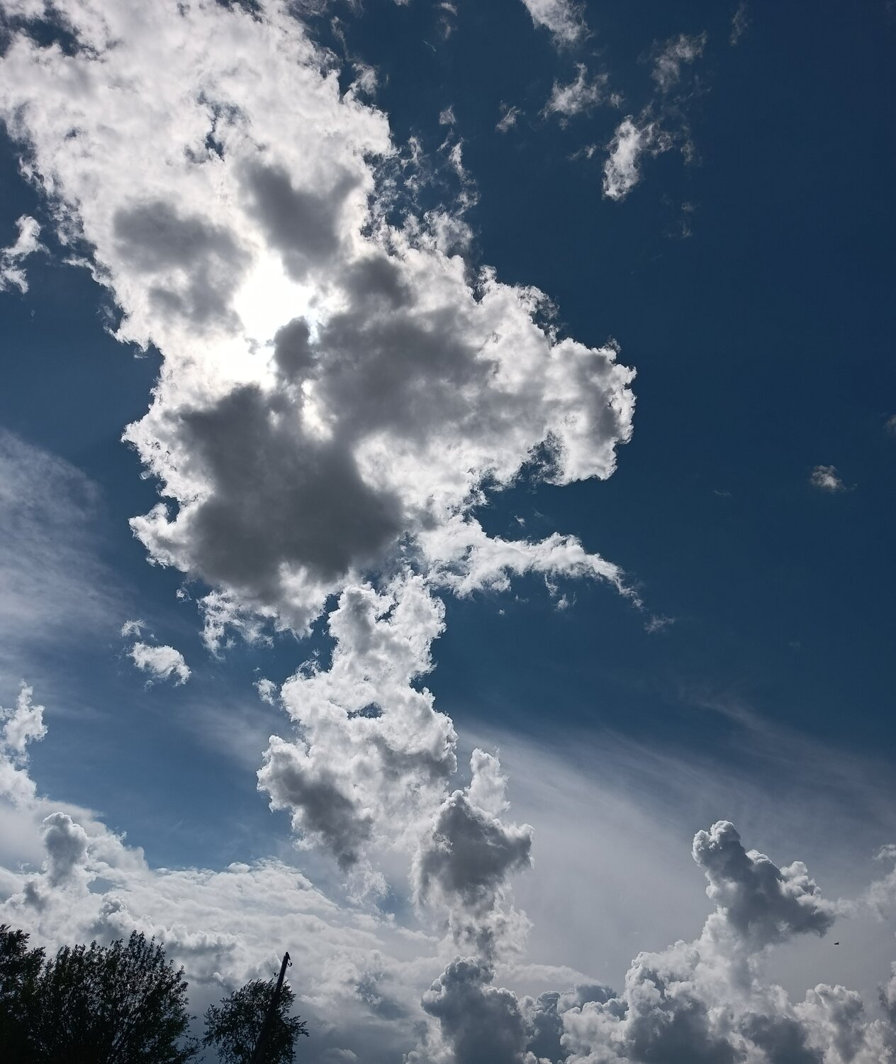 Photo #13786145