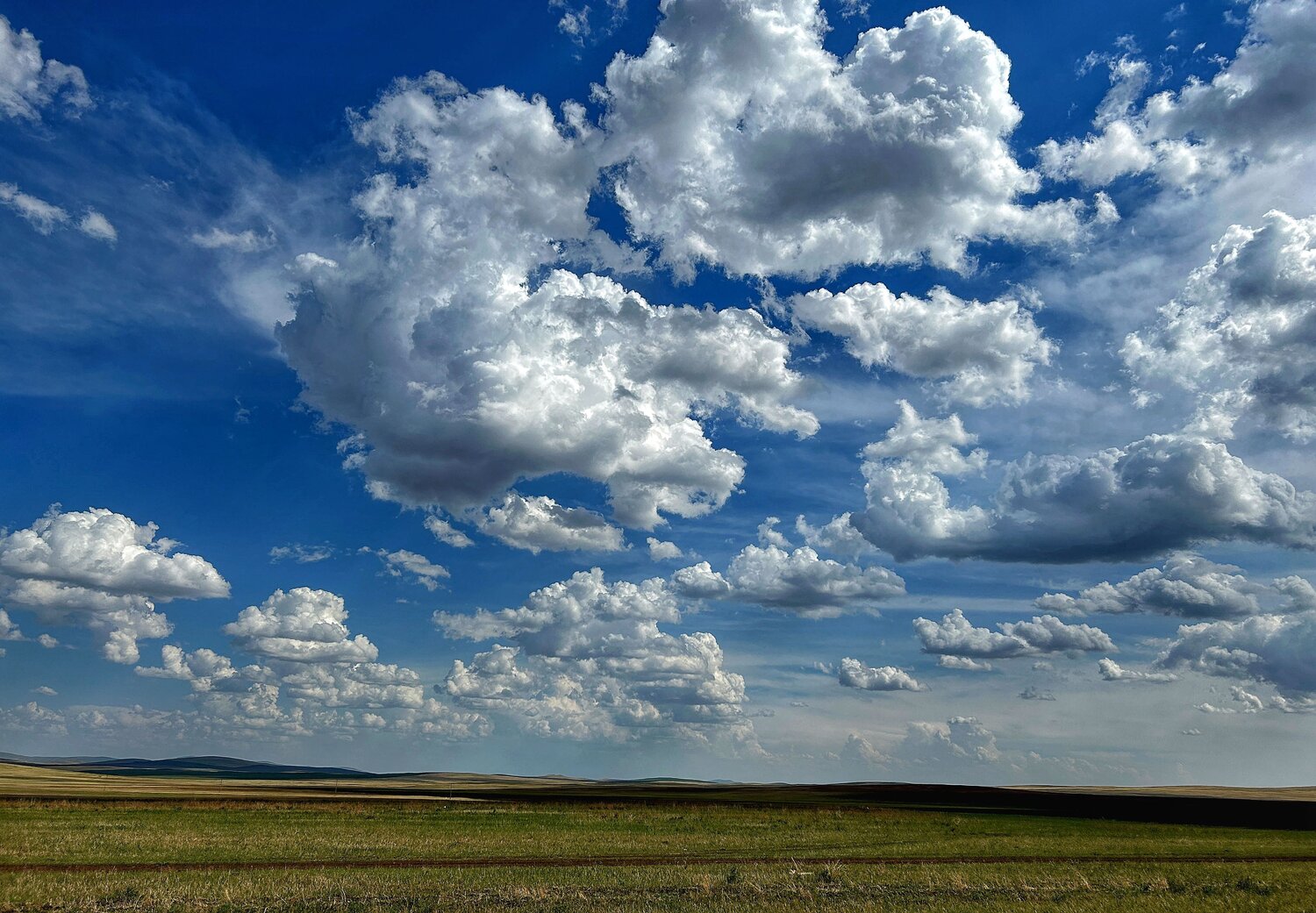 Photo #13786148