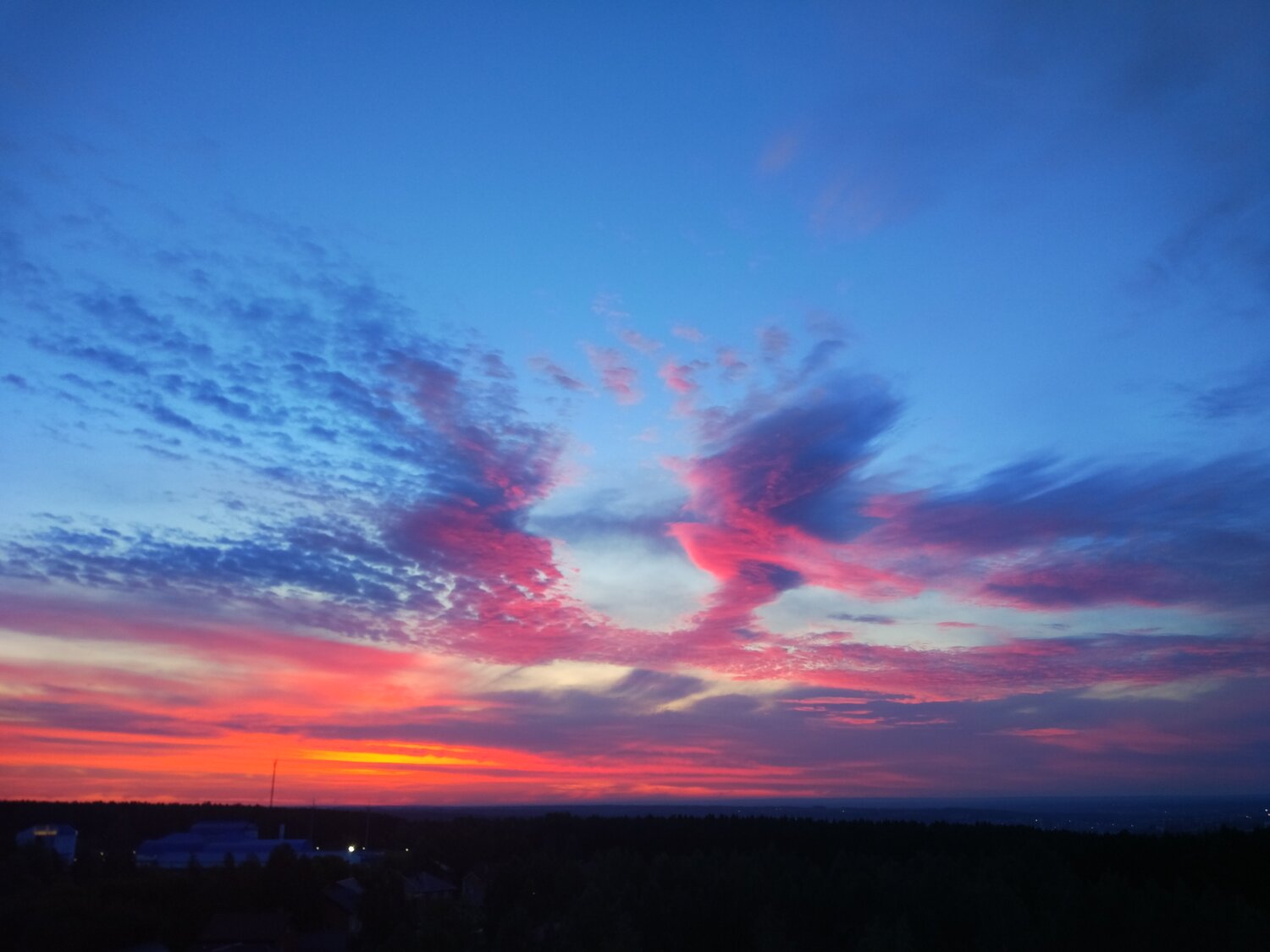 Photo #13786167