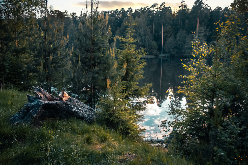 Photograph by Елена Ефимова