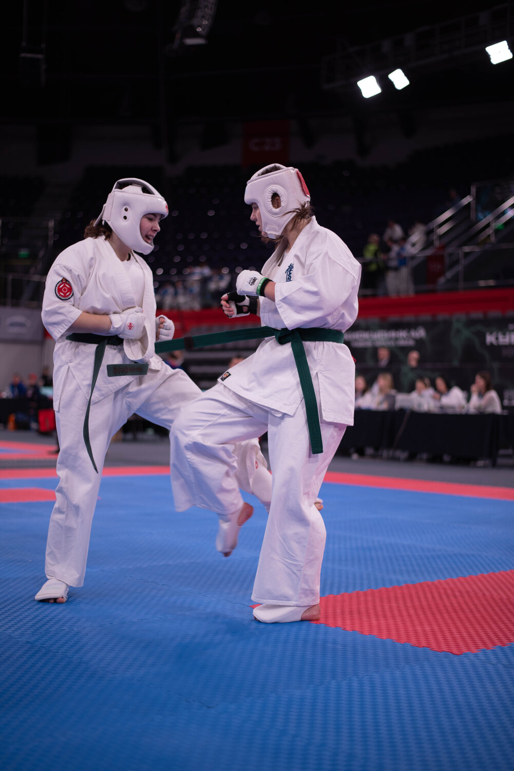 Photo #13786182