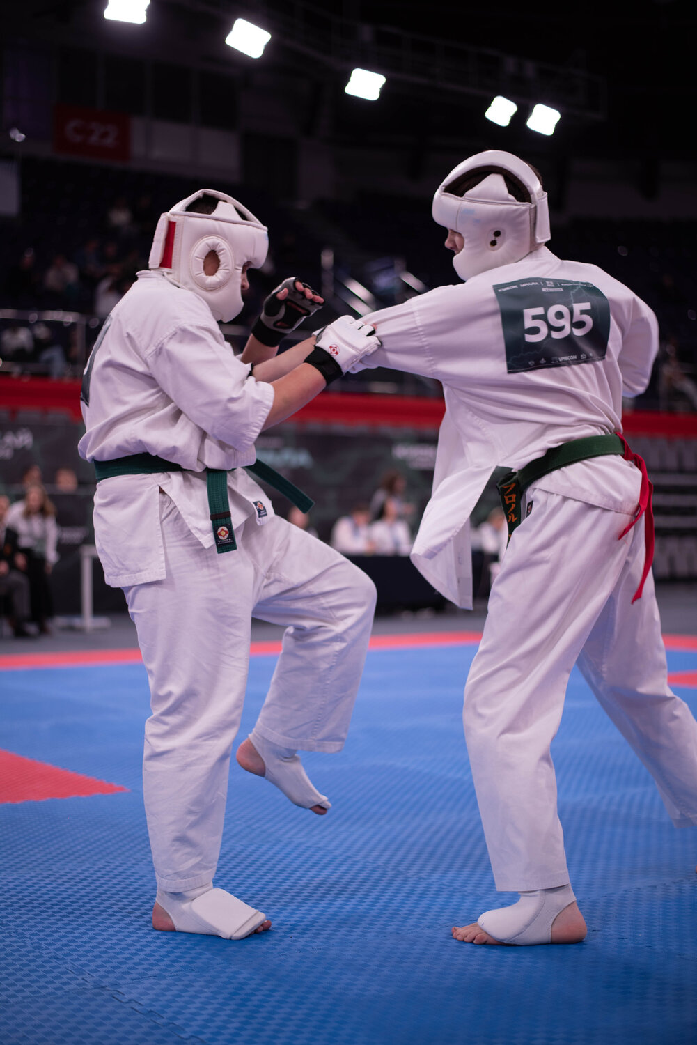 Photo #13786183