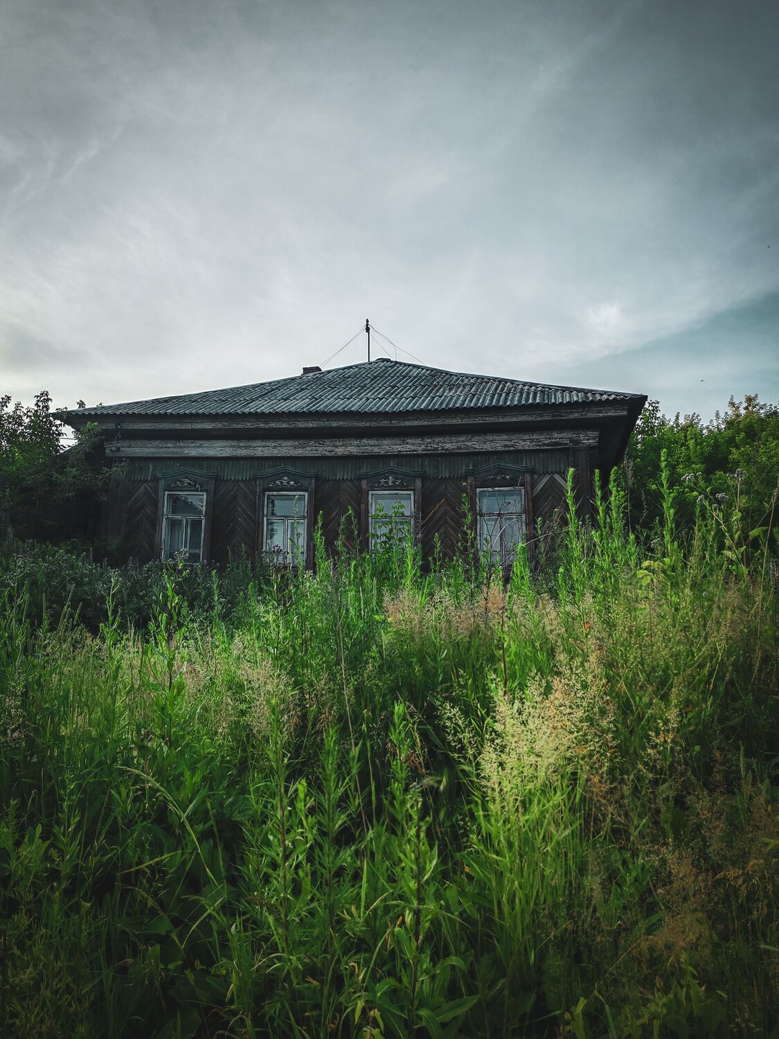 Photo #13786208