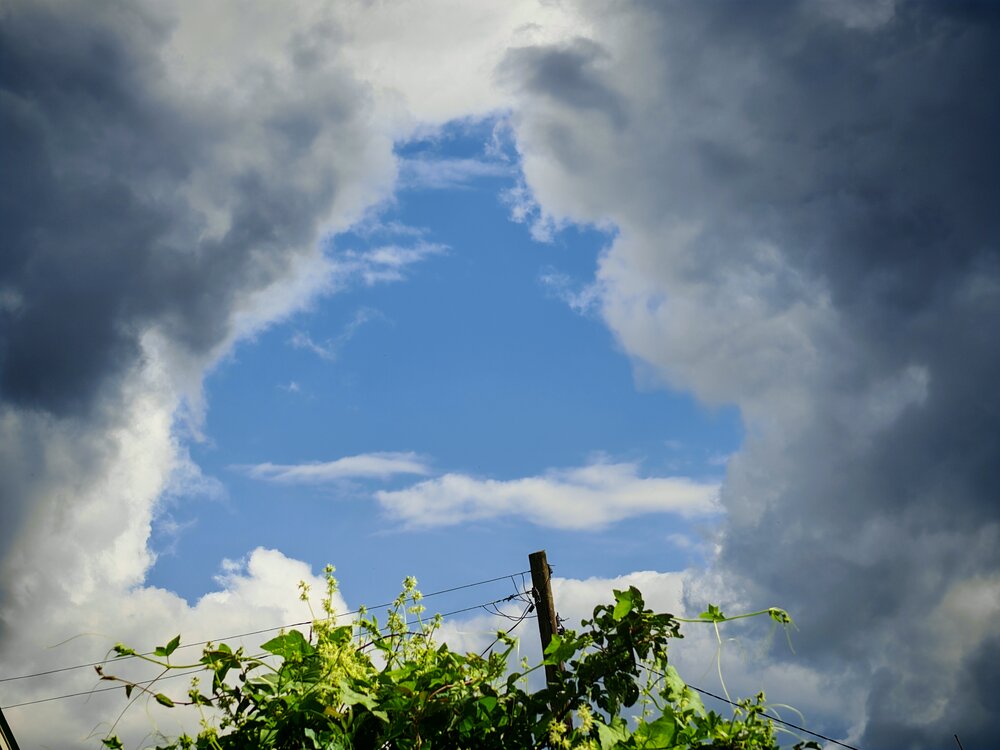 Photograph by Даниил Зайцев