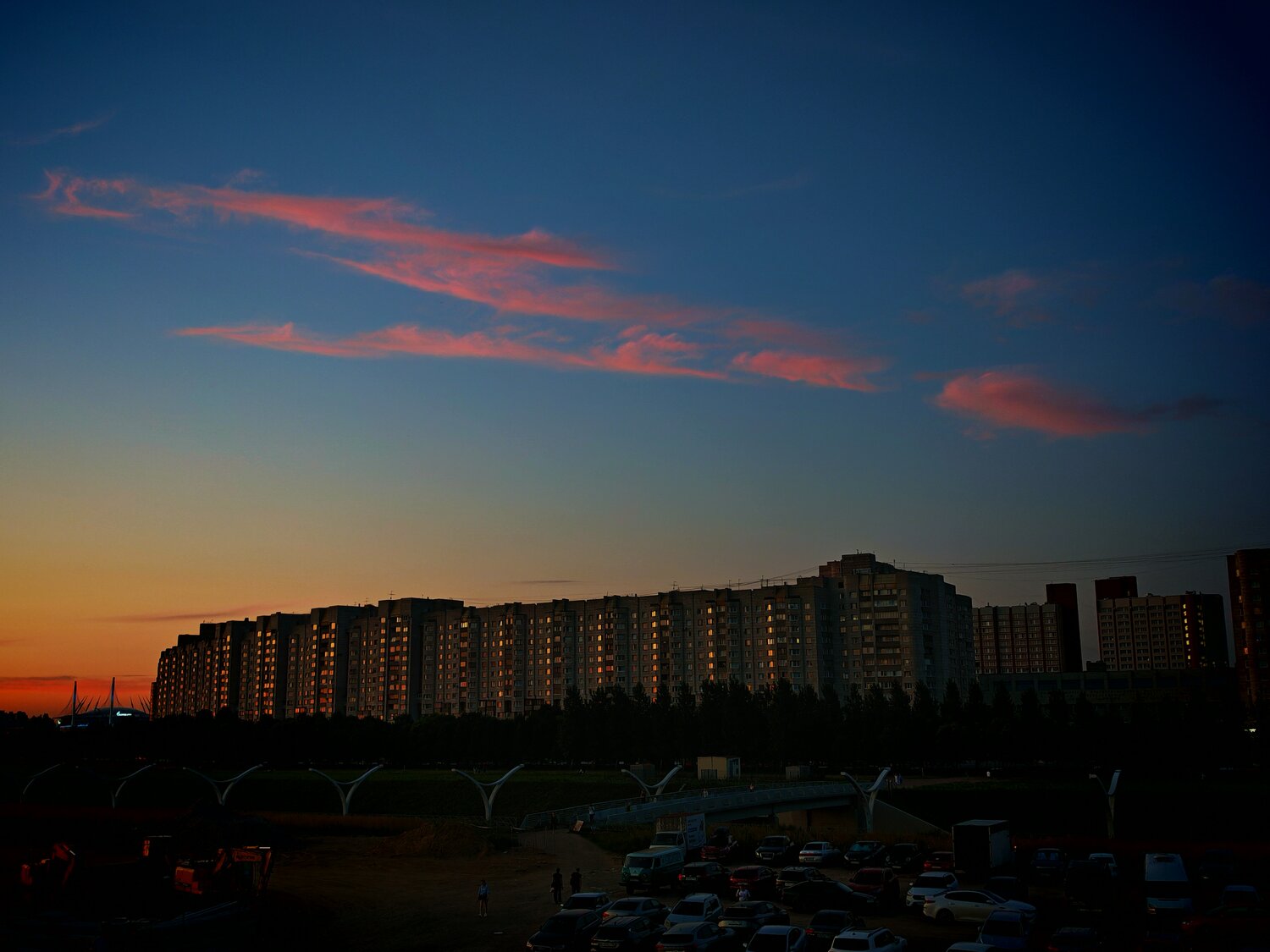Photo #13786235