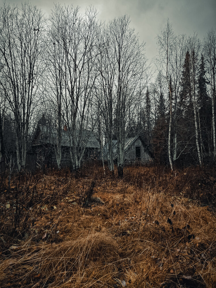 Photograph by Елена