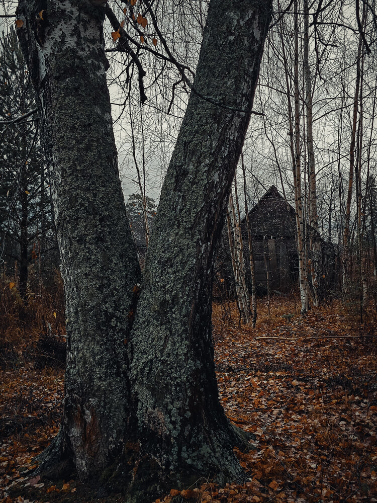 Photograph by Елена